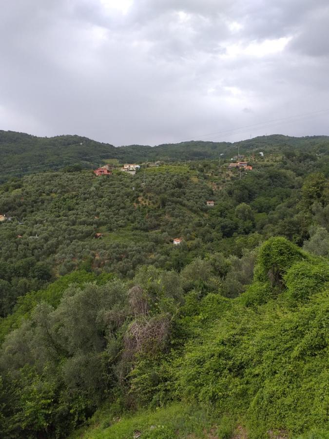 Вилла Casa Di Vecchio Borgo Сарцана Экстерьер фото