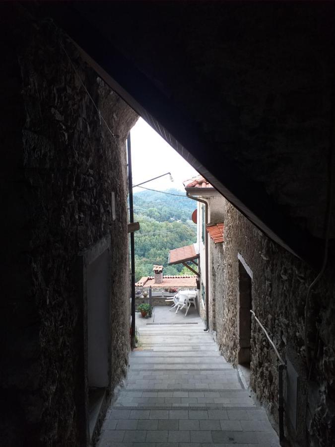 Вилла Casa Di Vecchio Borgo Сарцана Экстерьер фото